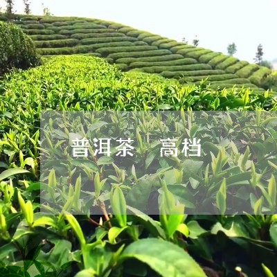 普洱茶 高档/2023042827759